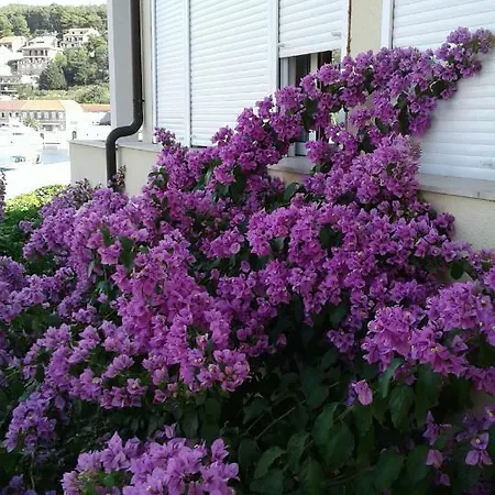 Isabella - Ilda Radonic Apartament Jelsa (Hvar)